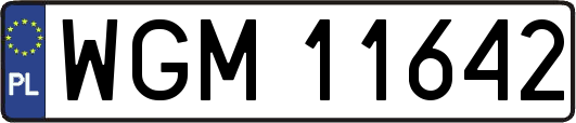 WGM11642