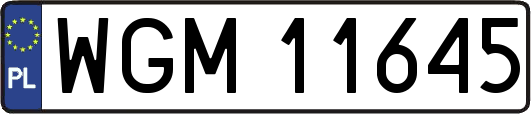 WGM11645