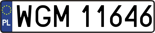 WGM11646
