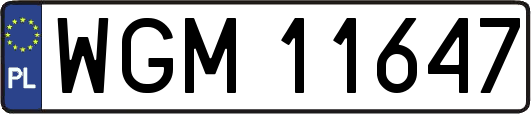 WGM11647