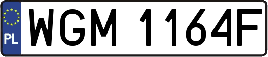 WGM1164F