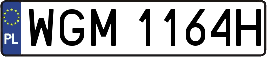 WGM1164H