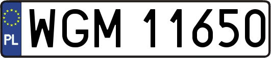 WGM11650
