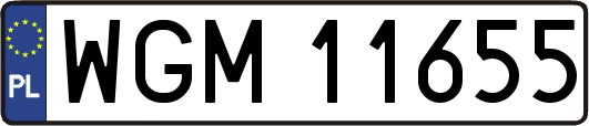 WGM11655