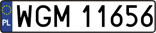 WGM11656