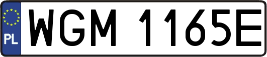 WGM1165E