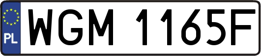 WGM1165F