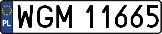 WGM11665
