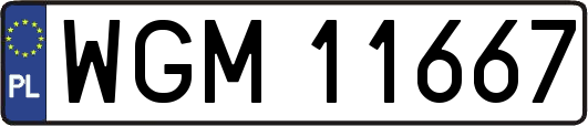 WGM11667
