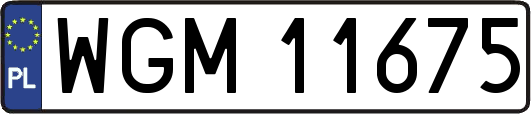 WGM11675