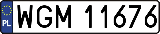 WGM11676