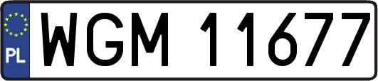 WGM11677