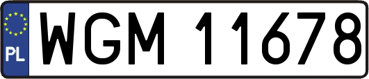 WGM11678