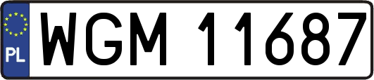 WGM11687
