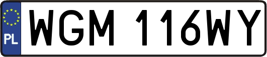 WGM116WY