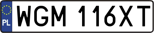 WGM116XT