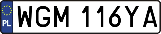 WGM116YA