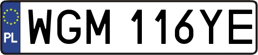 WGM116YE