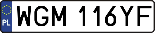 WGM116YF
