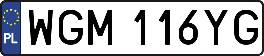 WGM116YG