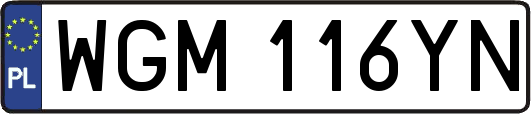 WGM116YN