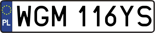 WGM116YS