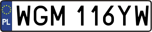 WGM116YW