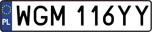WGM116YY
