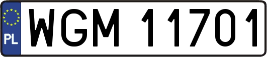 WGM11701