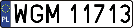 WGM11713