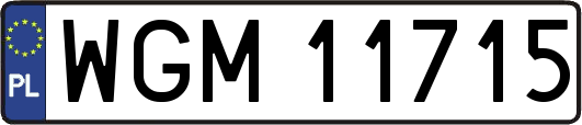 WGM11715