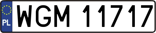 WGM11717
