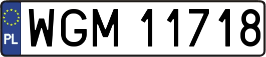WGM11718