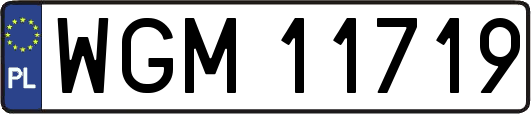 WGM11719