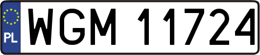 WGM11724