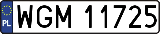 WGM11725