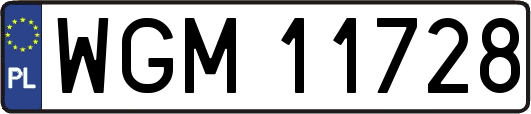 WGM11728