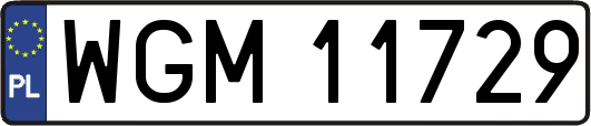 WGM11729