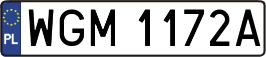 WGM1172A