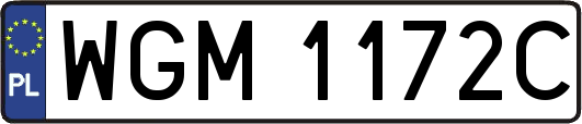 WGM1172C