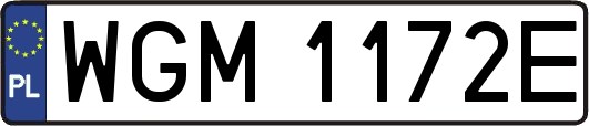 WGM1172E