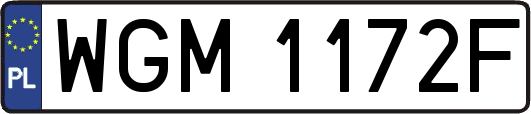 WGM1172F