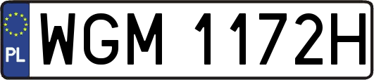 WGM1172H