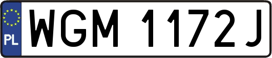 WGM1172J