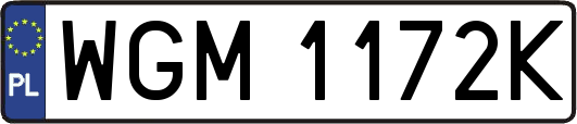 WGM1172K