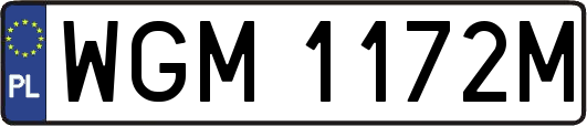 WGM1172M