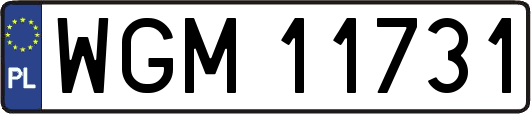 WGM11731