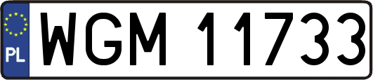 WGM11733