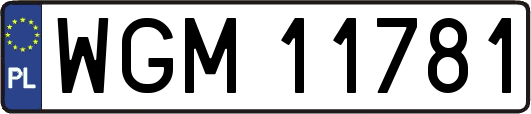 WGM11781