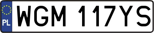WGM117YS